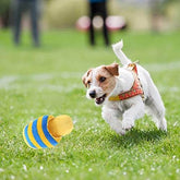 KUTKUT Training Toy Set of Rope Ball, Teether and Squeaky Sleeper for Small Dogs and Pets - Pack of 3 - kutkutstyle